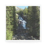 Hidden Falls in Grand Teton National Park Napkins