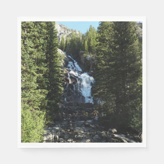 Hidden Falls in Grand Teton National Park Napkins (Front)