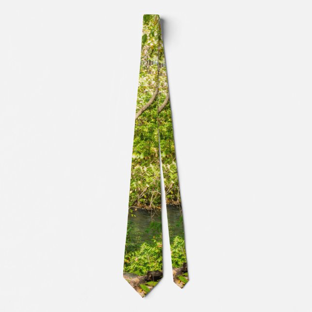 Hidden Falls Neck Tie (Front)