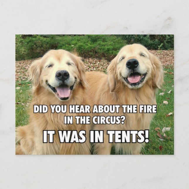 (Hidden) Funny Golden Retriever Circus Fire Joke Postcard (Front)