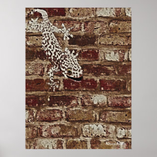 Hidden in Plain Sight Poster