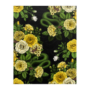 Hidden in the roses, yellow  and green acrylic print