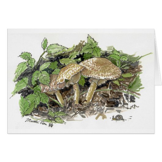 Hidden Mushrooms Cards (Front Horizontal)