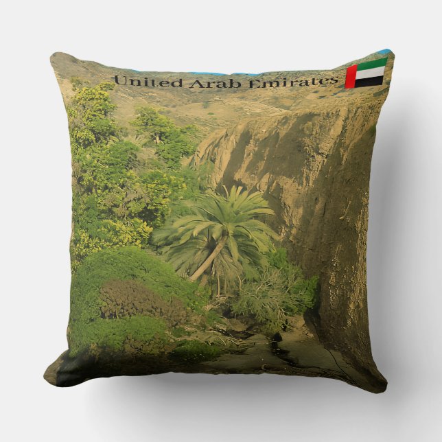 Hidden oasis  throw pillow (Front)