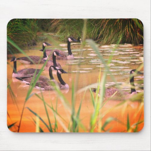 Hidden Serenity Canada Geese Nature  Mouse Pad