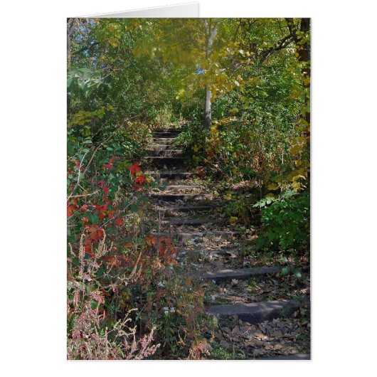 Hidden Stairway Cards (Front)