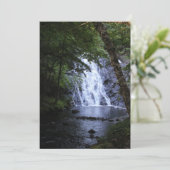 Hidden Through the Trees (Standing Front)