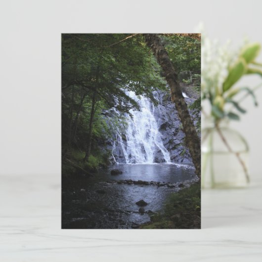 Hidden Through the Trees (Standing Front)