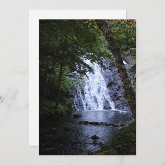 Hidden Through the Trees (Front/Back)