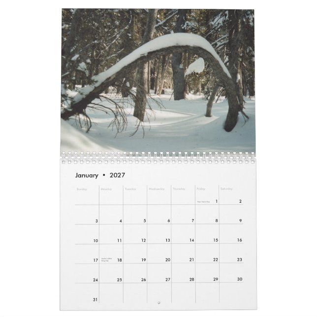 Hidden Treasures 2011 Calendar (Jan 2027)