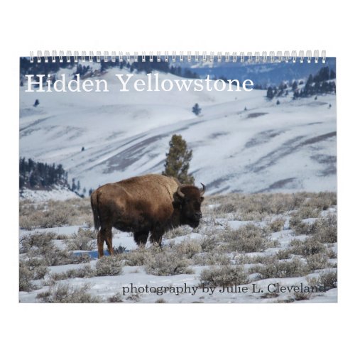 Hidden Yellowstone National Park Calendar