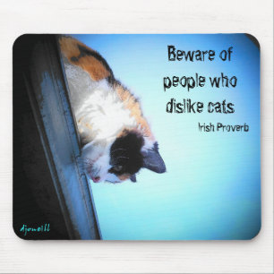 Hidding from haters Irish Proverb Mouse Pad
