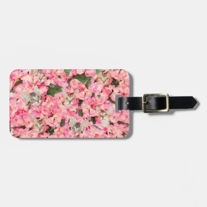 Hide and Peek Kittens Luggage Tag