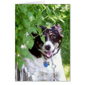 Hide And Seek (Front)