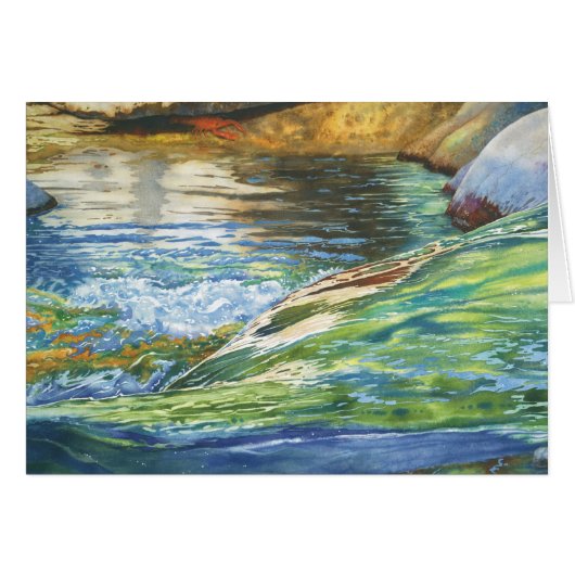 Hide and Seek (Front Horizontal)