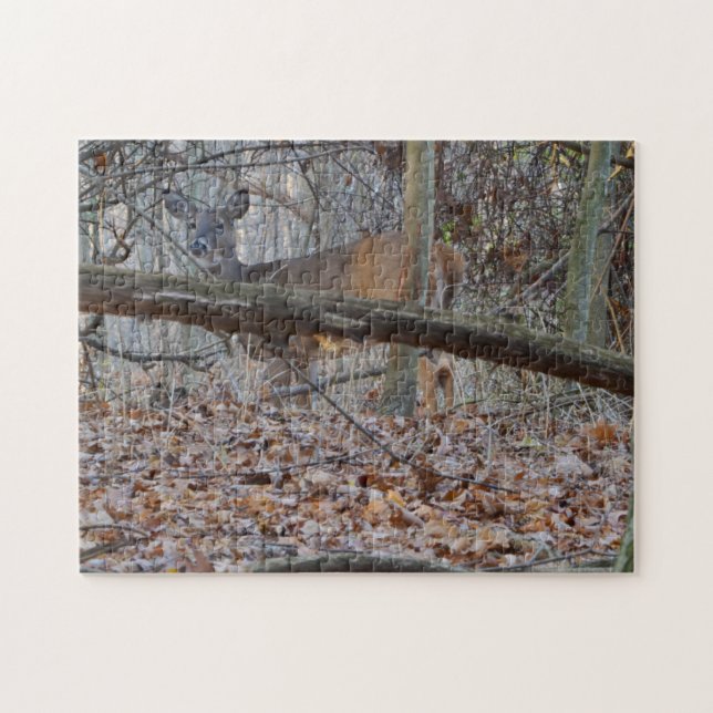 HIDE AND SEEK JIGSAW PUZZLE (Horizontal)