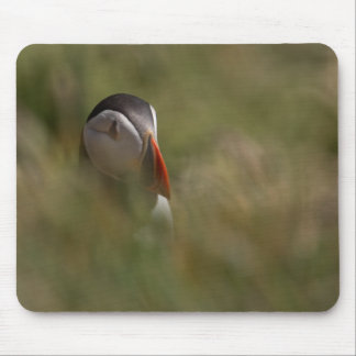Hide and Seek Puffin Mouse Pad