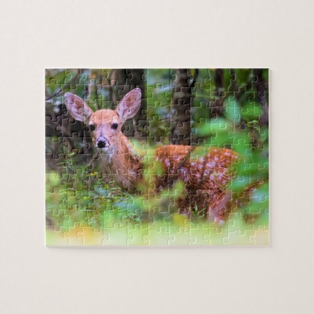 Hide and Seek With a Spotted Fawn - 8x10 inch Jigsaw Puzzle (Horizontal)