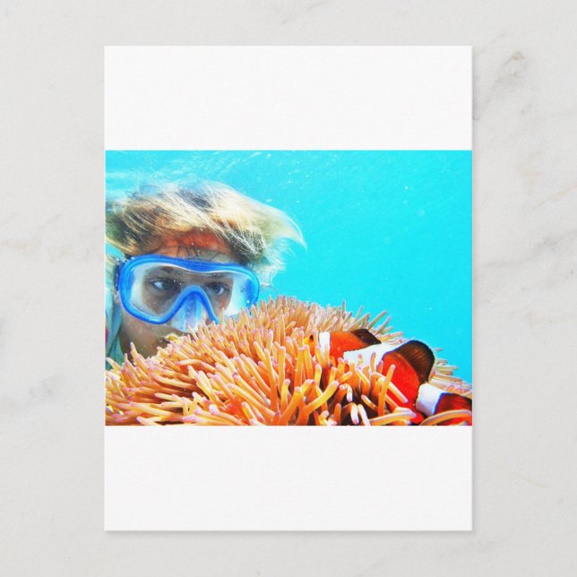 hide and seek with NEMO.JPG Postcard (Front)