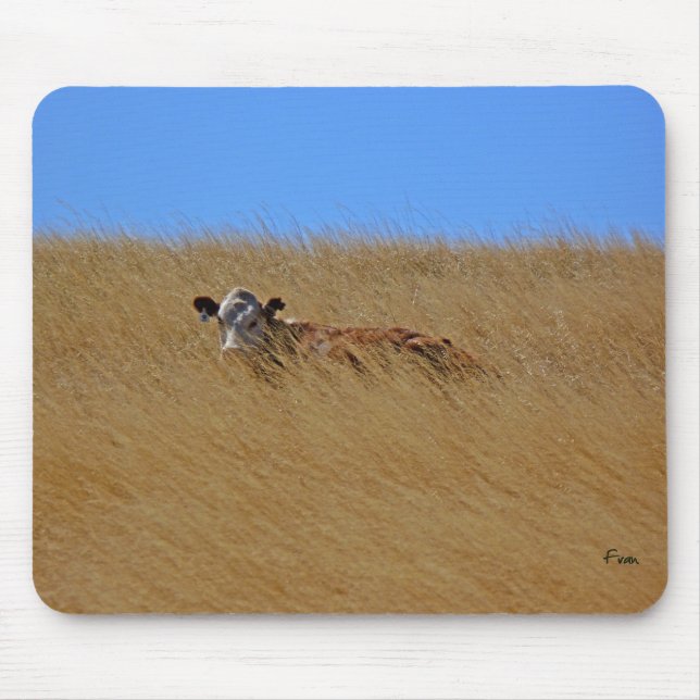 hide & seek mouse pad (Front)