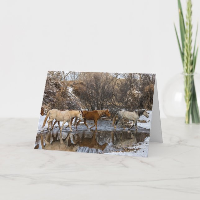 Hideout Horse Ranch Card (Front)