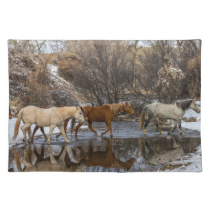 Hideout Horse Ranch Cloth Placemat