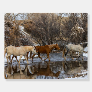 Hideout Horse Ranch Foam Board