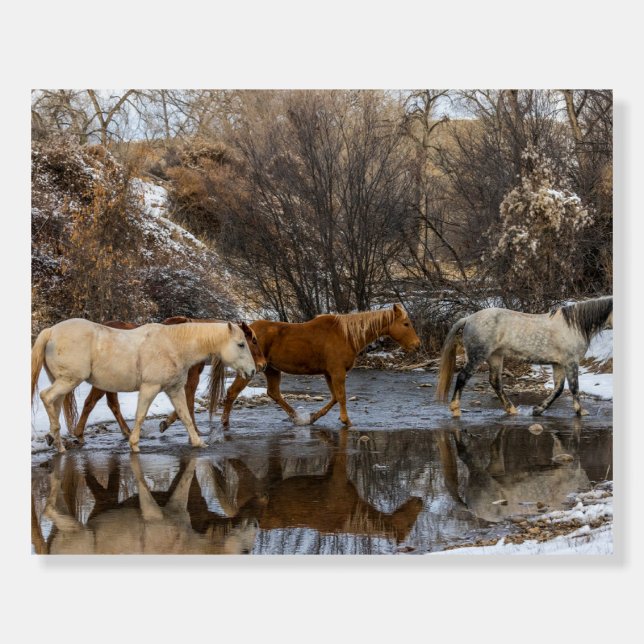 Hideout Horse Ranch Foam Board (Front)