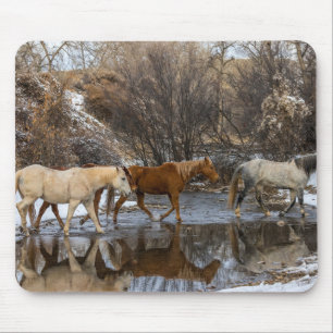 Hideout Horse Ranch Mouse Pad