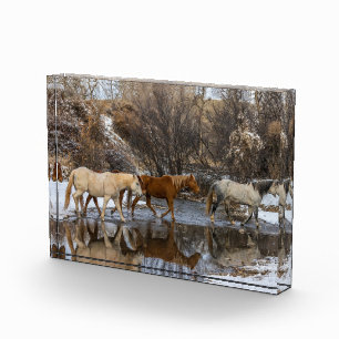 Hideout Horse Ranch Photo Block