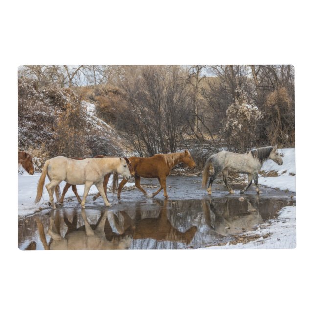 Hideout Horse Ranch Placemat (Front)