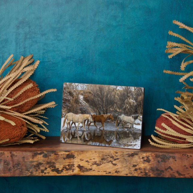 Hideout Horse Ranch Plaque (Side)