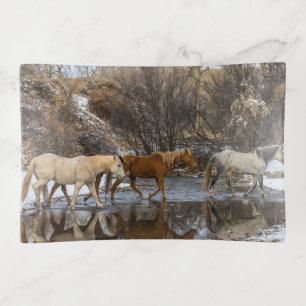 Hideout Horse Ranch Trinket Tray