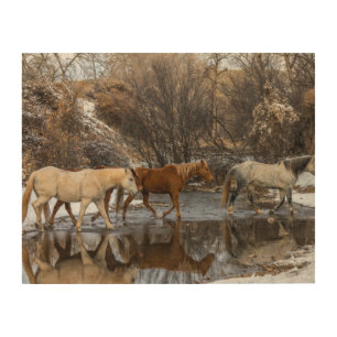 Hideout Horse Ranch Wood Wall Art