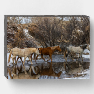 Hideout Horse Ranch Wooden Box Sign