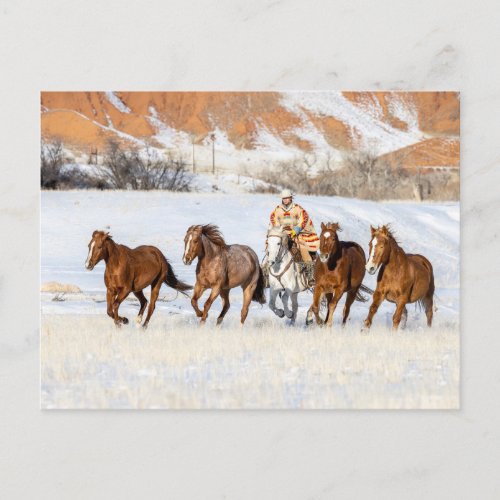 Hideout Horse Ranch Wrangler and Horses Postcard