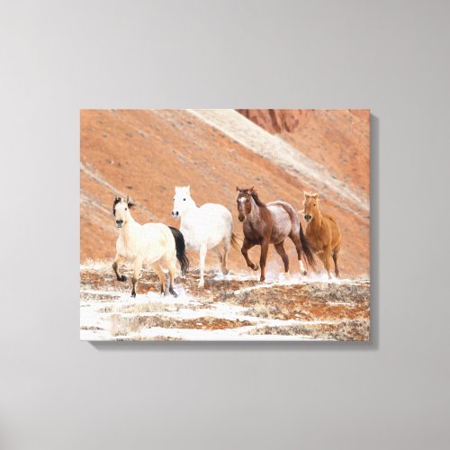 Hideout Ranch with Small Herd of Horses in Snow Canvas Print