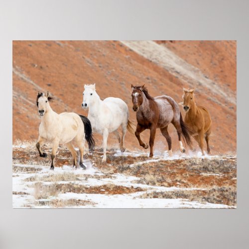 Hideout Ranch with Small Herd of Horses in Snow Poster