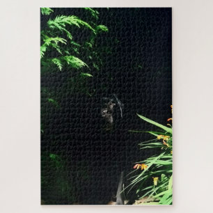 Hiding Black Labrador Jigsaw Puzzle