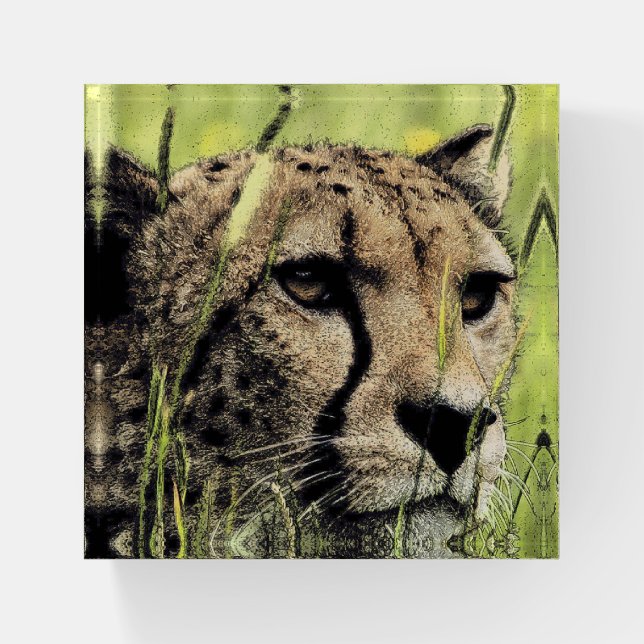 Hiding Cheetah Paperweight (Front)
