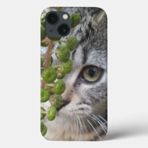 Hiding Kitten EYE-Phone iPad Case