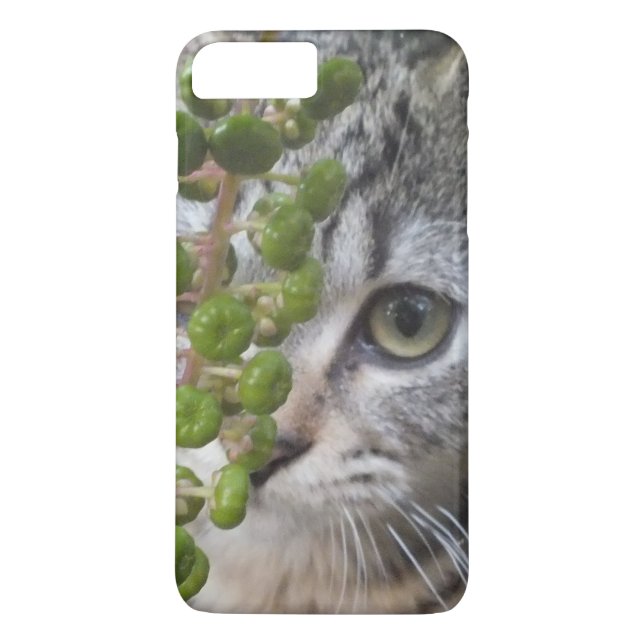 Hiding Kitten EYE-Phone iPhone 7 Plus Case (Back)
