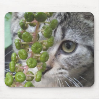 Hiding Kitten Mouse Pad