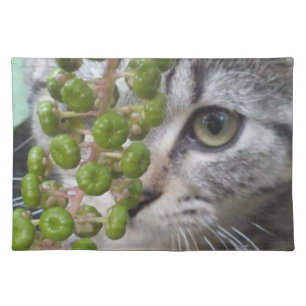 Hiding Kitten Placemat