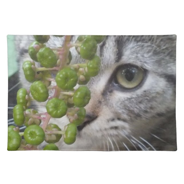 Hiding Kitten Placemat (Front)