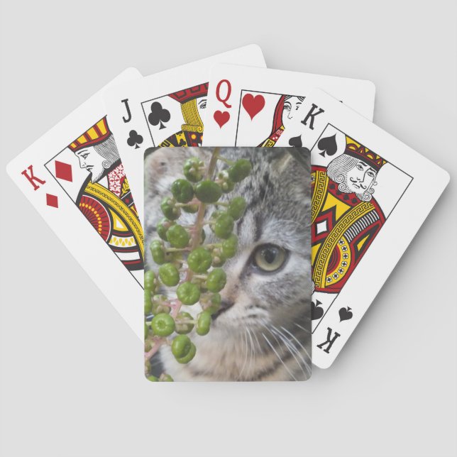 Hiding Kitten Poker Cards (Back)
