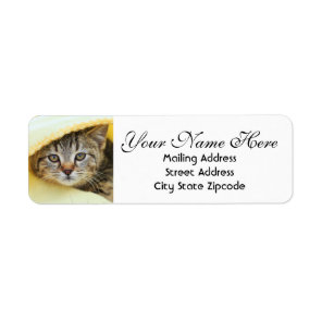 Hiding Kitten Return Address Label