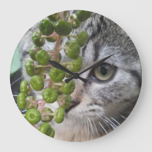 Hiding Kitten Wall Clock