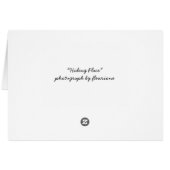 Hiding Place (Back Horizontal)