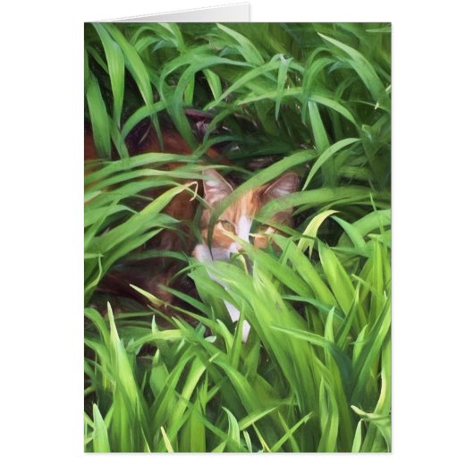 hiding tabby cat in leaves cards (Front)